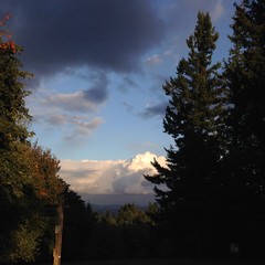 View from Council Crest toward Mt. Hood, which is NOT visible
