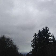 View from Council Crest toward Mt. Hood, which is NOT visible