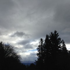 View from Council Crest toward Mt. Hood, which is NOT visible