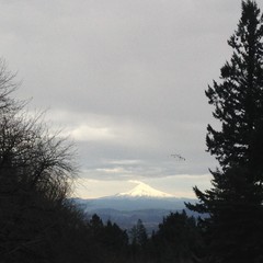 View from Council Crest toward Mt. Hood, which is visible