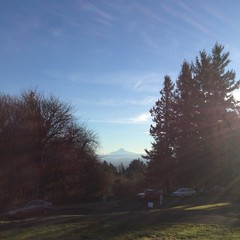 View from Council Crest toward Mt. Hood, which is visible
