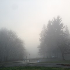 View from Council Crest toward Mt. Hood, which is NOT visible