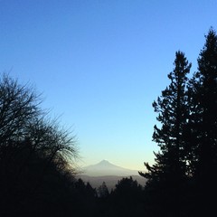View from Council Crest toward Mt. Hood, which is visible