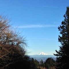 View from Council Crest toward Mt. Hood, which is visible
