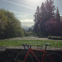 View from Council Crest toward Mt. Hood, which is NOT visible
