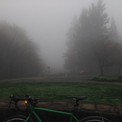 View from Council Crest toward Mt. Hood, which is NOT visible