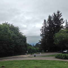 View from Council Crest toward Mt. Hood, which is NOT visible