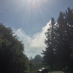 View from Council Crest toward Mt. Hood, which is visible