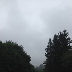 View from Council Crest toward Mt. Hood, which is NOT visible
