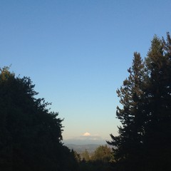 View from Council Crest toward Mt. Hood, which is visible