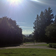 View from Council Crest toward Mt. Hood, which is visible