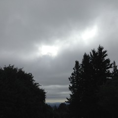 View from Council Crest toward Mt. Hood, which is NOT visible