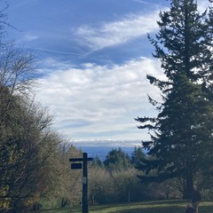 View from Council Crest toward Mt. Hood, which is visible