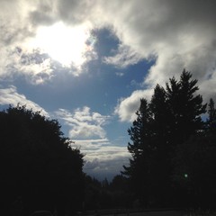 View from Council Crest toward Mt. Hood, which is NOT visible