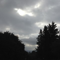View from Council Crest toward Mt. Hood, which is NOT visible
