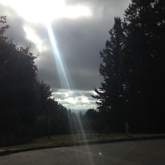 View from Council Crest toward Mt. Hood, which is NOT visible