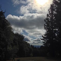 View from Council Crest toward Mt. Hood, which is NOT visible