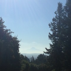 View from Council Crest toward Mt. Hood, which is visible
