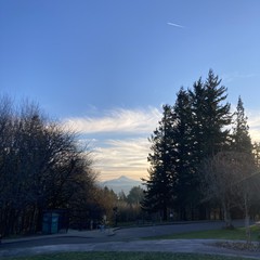 View from Council Crest toward Mt. Hood, which is visible