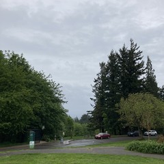 View from Council Crest toward Mt. Hood, which is NOT visible