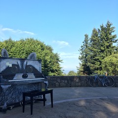 View from Council Crest toward Mt. Hood, which is visible