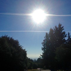 View from Council Crest toward Mt. Hood, which is visible