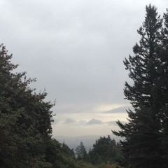View from Council Crest toward Mt. Hood, which is visible