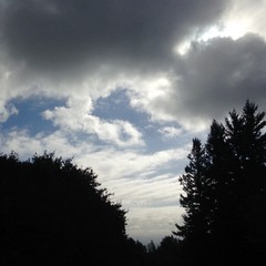 View from Council Crest toward Mt. Hood, which is NOT visible