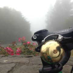 View from Council Crest toward Mt. Hood, which is NOT visible