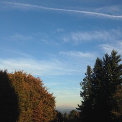 View from Council Crest toward Mt. Hood, which is visible