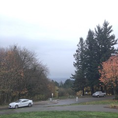 View from Council Crest toward Mt. Hood, which is NOT visible