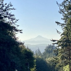 View from Council Crest toward Mt. Hood, which is visible