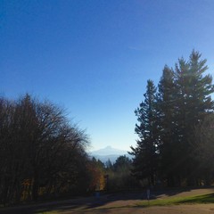 View from Council Crest toward Mt. Hood, which is visible