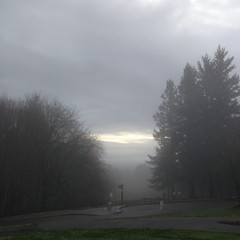 View from Council Crest toward Mt. Hood, which is NOT visible
