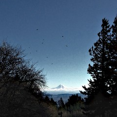 View from Council Crest toward Mt. Hood, which is visible