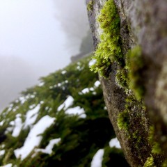 View from Council Crest toward Mt. Hood, which is NOT visible