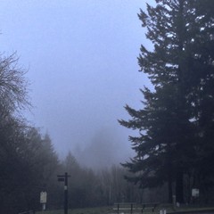 View from Council Crest toward Mt. Hood, which is NOT visible