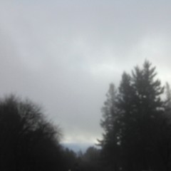 View from Council Crest toward Mt. Hood, which is NOT visible