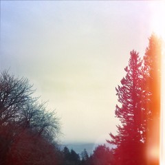 View from Council Crest toward Mt. Hood, which is NOT visible