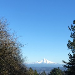 View from Council Crest toward Mt. Hood, which is visible