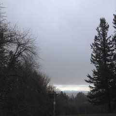 View from Council Crest toward Mt. Hood, which is visible