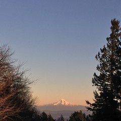 View from Council Crest toward Mt. Hood, which is visible