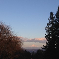 View from Council Crest toward Mt. Hood, which is visible