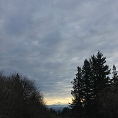 View from Council Crest toward Mt. Hood, which is visible