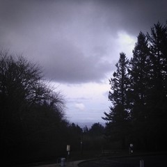 View from Council Crest toward Mt. Hood, which is visible