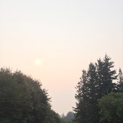 View from Council Crest toward Mt. Hood, which is NOT visible