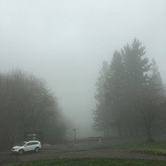 View from Council Crest toward Mt. Hood, which is NOT visible