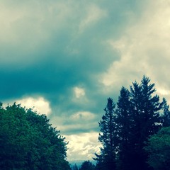View from Council Crest toward Mt. Hood, which is NOT visible