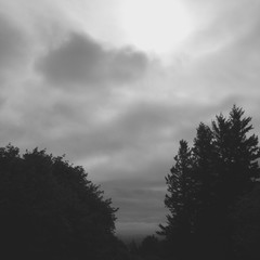 View from Council Crest toward Mt. Hood, which is NOT visible
