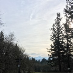 View from Council Crest toward Mt. Hood, which is visible